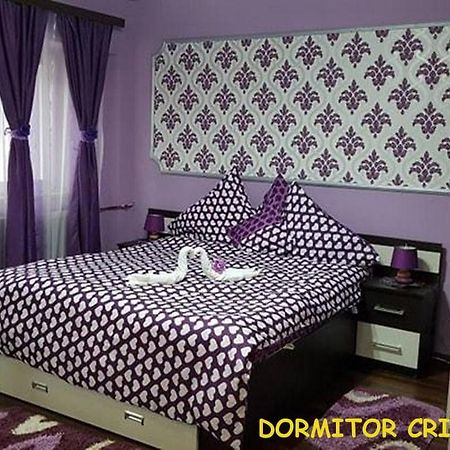Garsoniera Cristina Apartment Baile Felix Ngoại thất bức ảnh