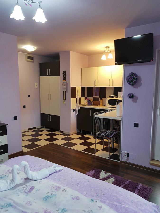 Garsoniera Cristina Apartment Baile Felix Ngoại thất bức ảnh