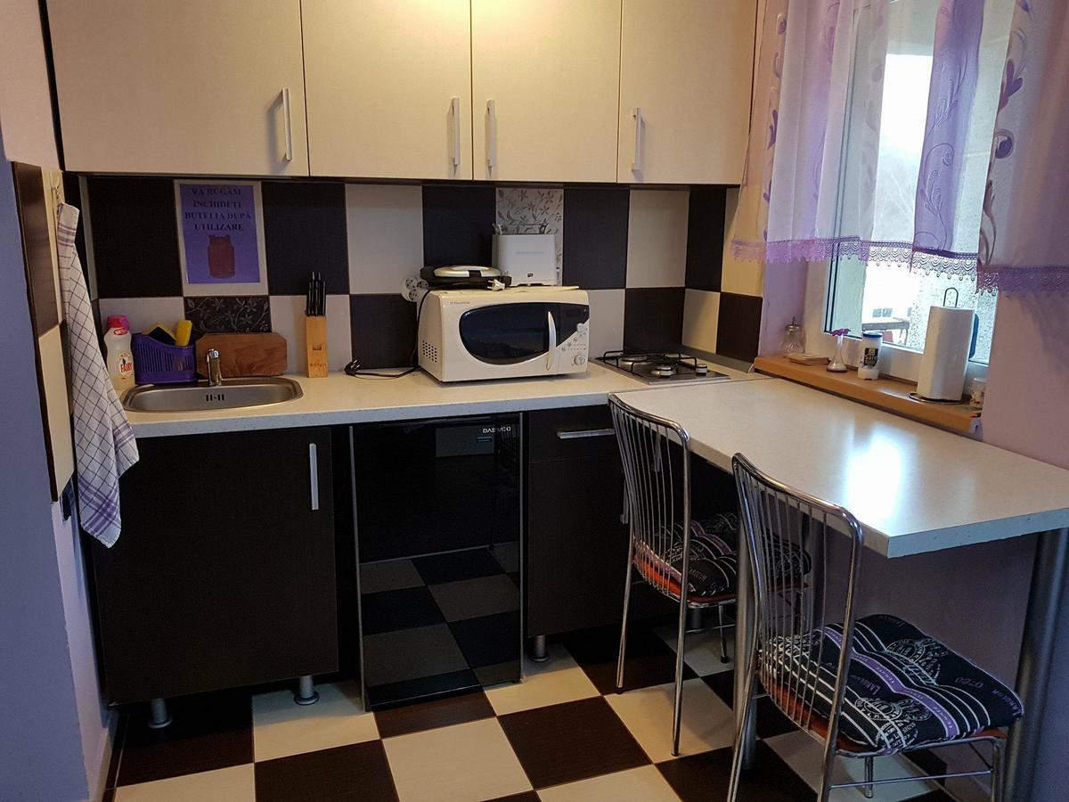 Garsoniera Cristina Apartment Baile Felix Ngoại thất bức ảnh