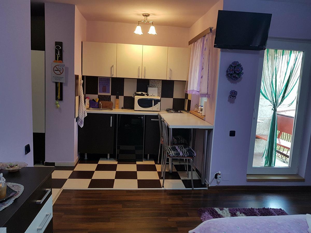 Garsoniera Cristina Apartment Baile Felix Ngoại thất bức ảnh