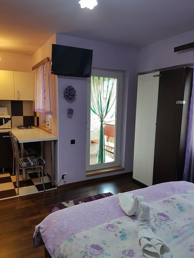 Garsoniera Cristina Apartment Baile Felix Ngoại thất bức ảnh