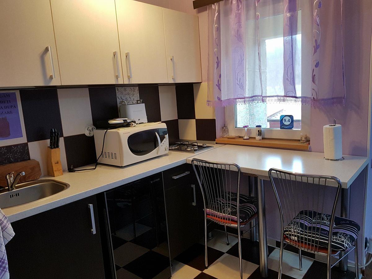 Garsoniera Cristina Apartment Baile Felix Ngoại thất bức ảnh