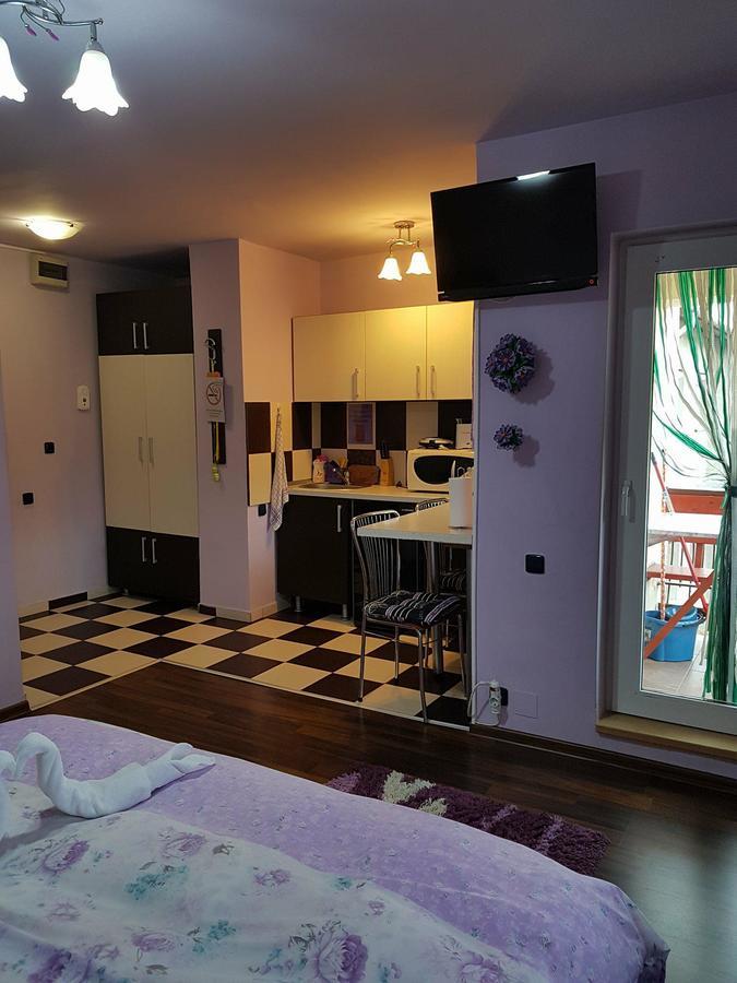 Garsoniera Cristina Apartment Baile Felix Ngoại thất bức ảnh
