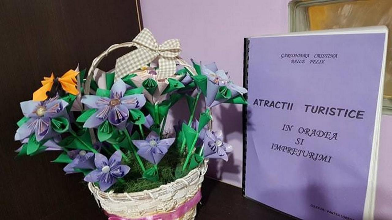 Garsoniera Cristina Apartment Baile Felix Ngoại thất bức ảnh