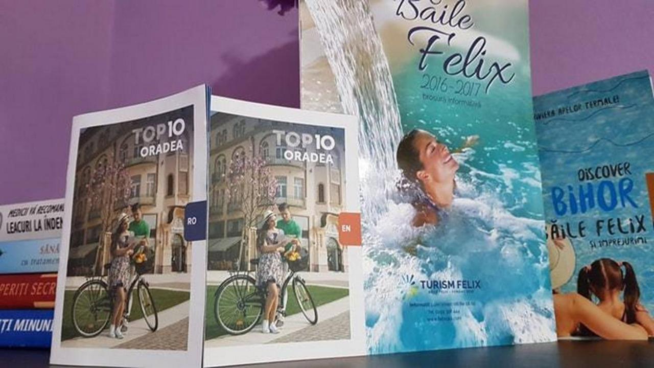 Garsoniera Cristina Apartment Baile Felix Ngoại thất bức ảnh