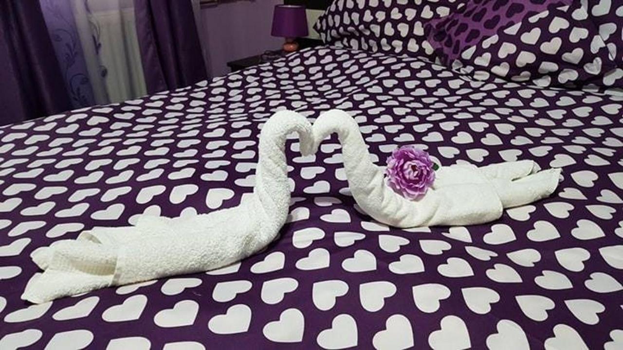 Garsoniera Cristina Apartment Baile Felix Ngoại thất bức ảnh
