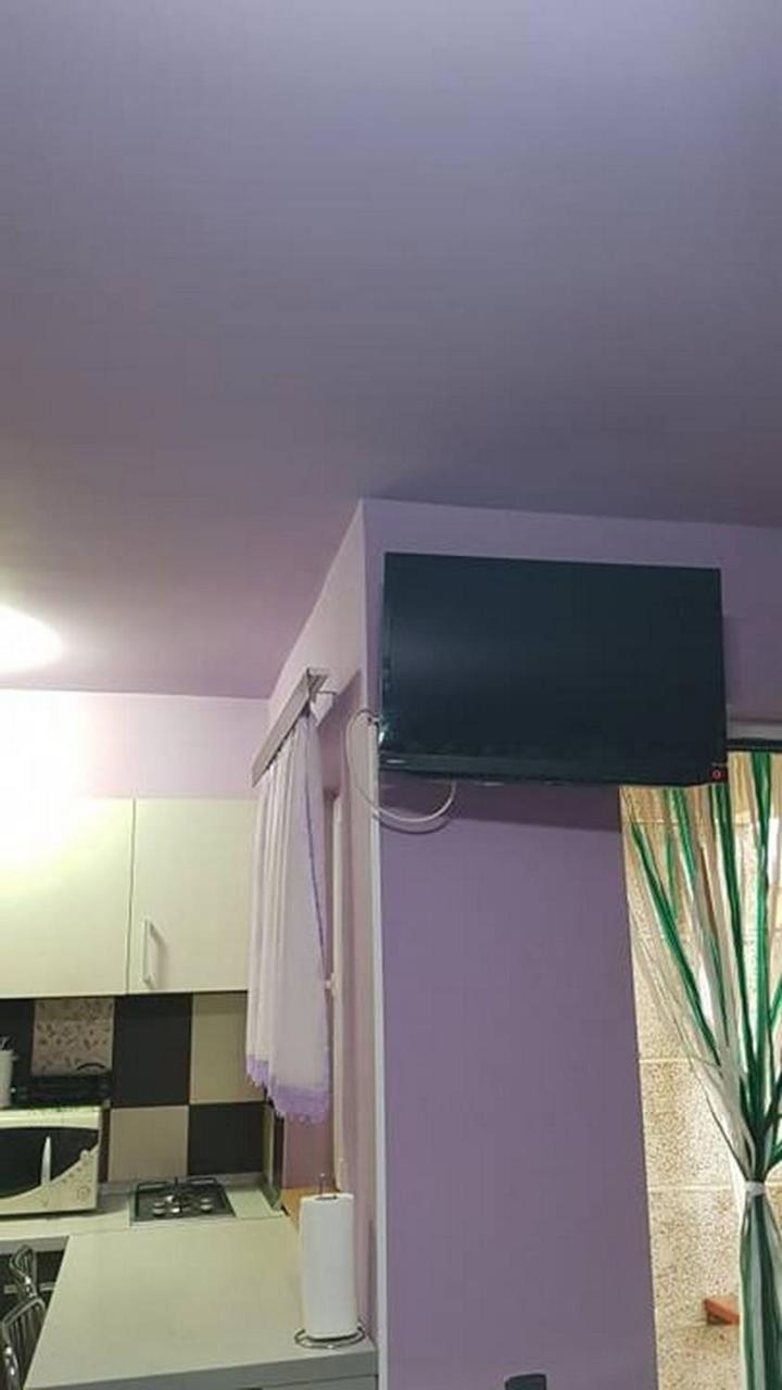 Garsoniera Cristina Apartment Baile Felix Ngoại thất bức ảnh